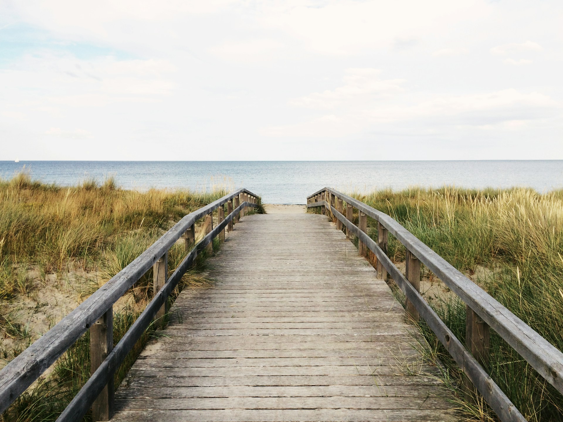 Düne am Meer