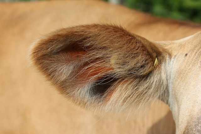 Achtsame Kommunikation Teil 2