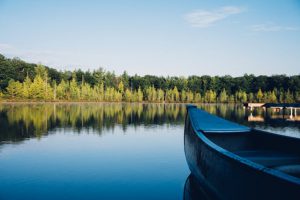 aaron-burden-ufFIweqSPd4-unsplash aaron-burden-ufFIweqSPd4-unsplash