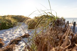 marvin-radke-617jL8l_EcI-unsplash marvin-radke-617jL8l_EcI-unsplash